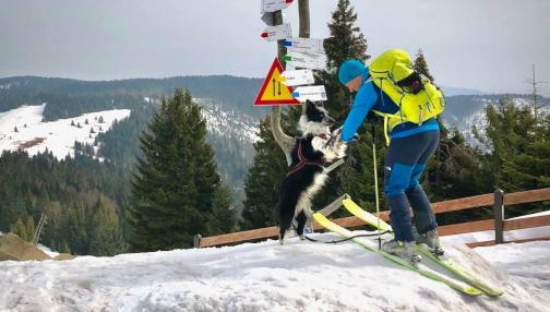 Skitury z psem. Część 2, Ekwipunek skiturowy dla psa.